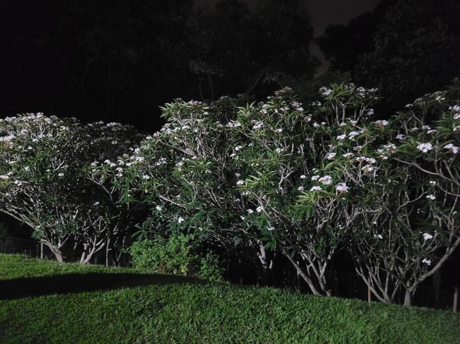 Chacara Dos Sonhos Em Mairipora Villa Exterior foto